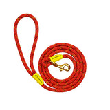 Dog Leash
